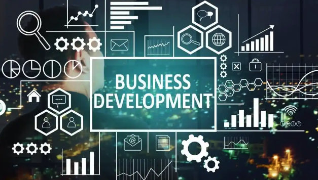 business development strategy